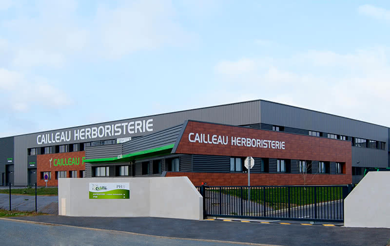 Enseigne - Cailleau Herboristerie